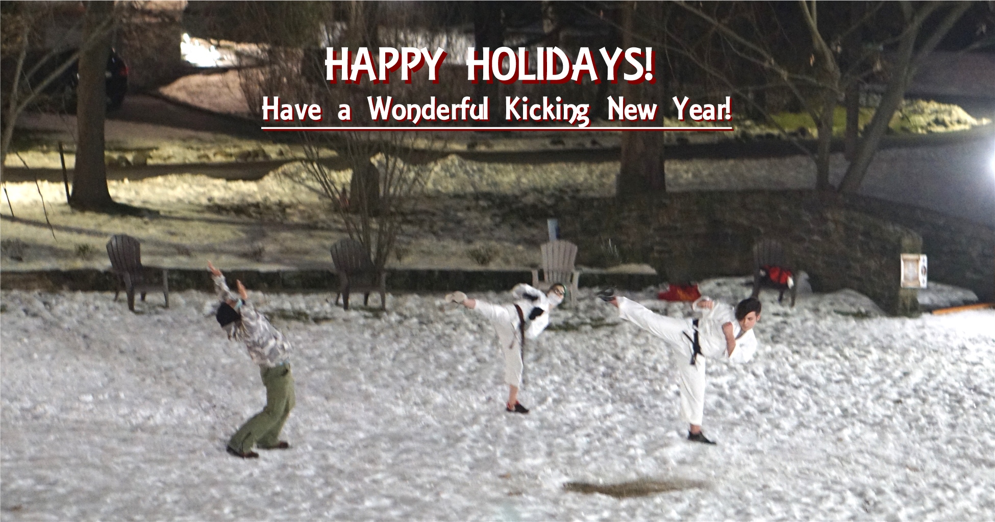 HappyHolidaysTrueChampionZKarateKravMaga-KickingNewYear.jpg